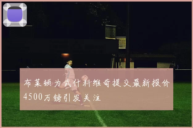 布莱顿为武什科维奇提交最新报价4500万镑引发关注