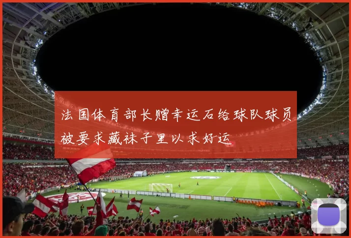 法国体育部长赠幸运石给球队球员被要求藏袜子里以求好运